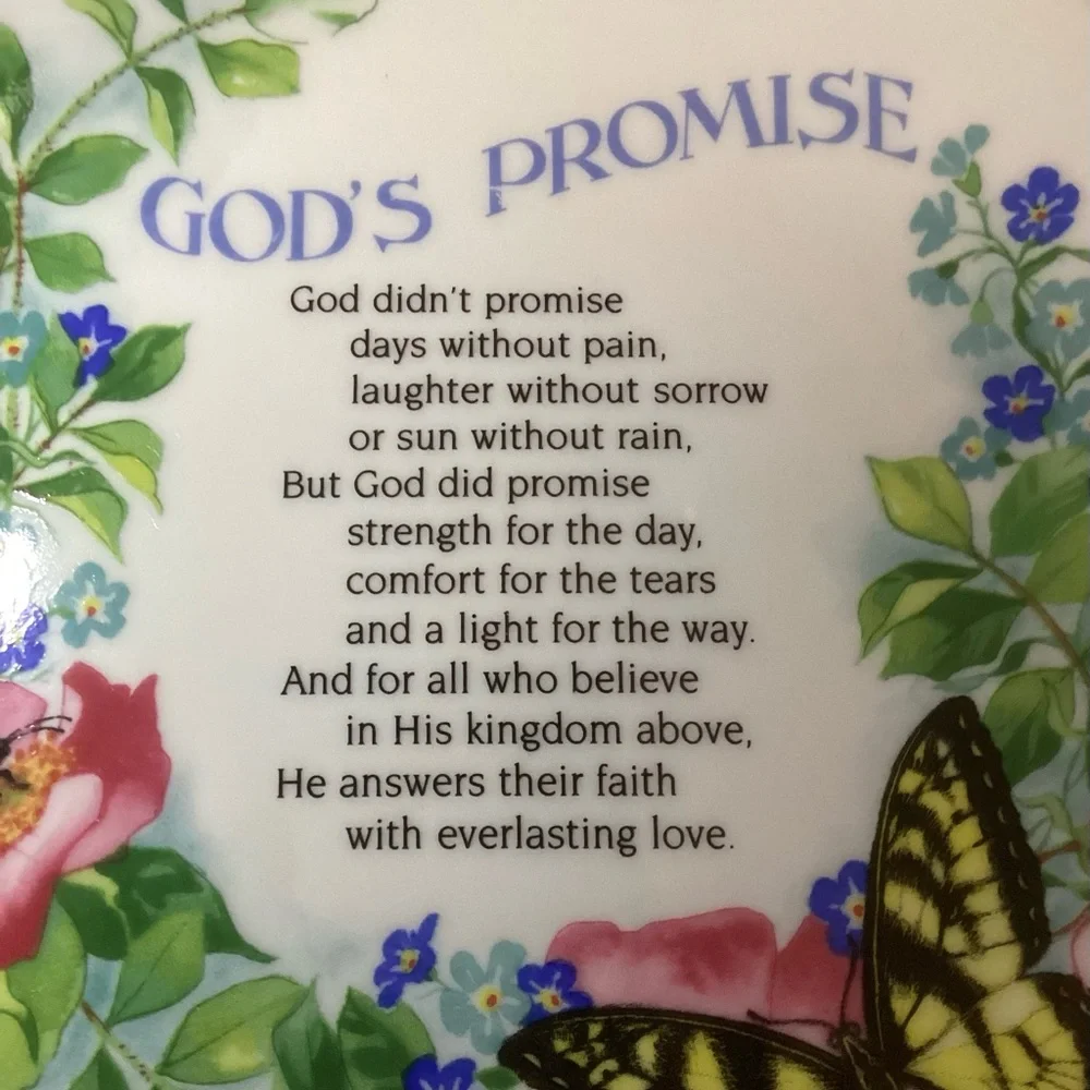 “Gods Promise” Vintage Decor Plate - Picture 2 of 5